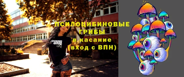 spice Заводоуковск