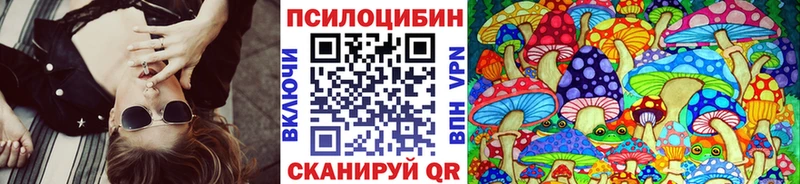 Галлюциногенные грибы Psilocybine cubensis  Купить  Ковылкино 